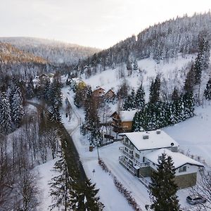 Apartament typu studio